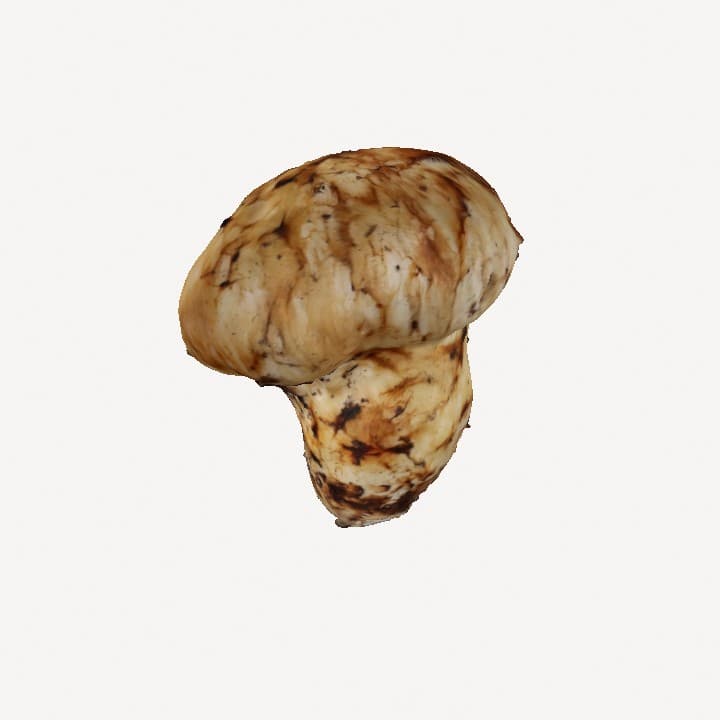 Mushroom thumbnail